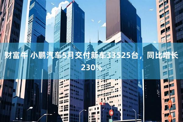 财富牛 小鹏汽车5月交付新车33525台，同比增长230%