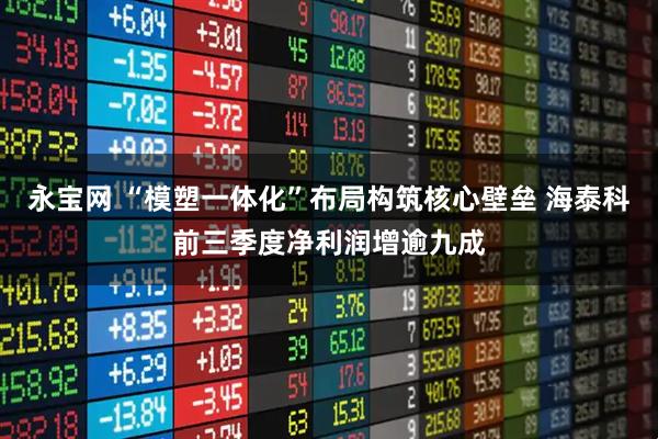 永宝网 “模塑一体化”布局构筑核心壁垒 海泰科前三季度净利润增逾九成